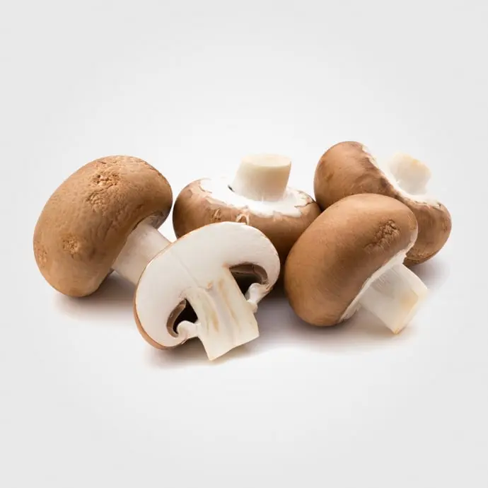 Hongos