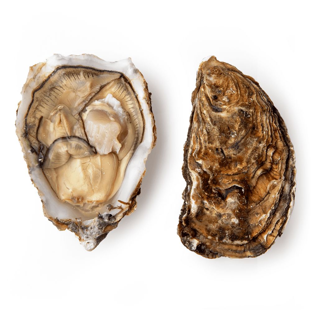 Морепродукти та молюски