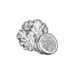 Frutas, verduras y otros - Frutas Maruja