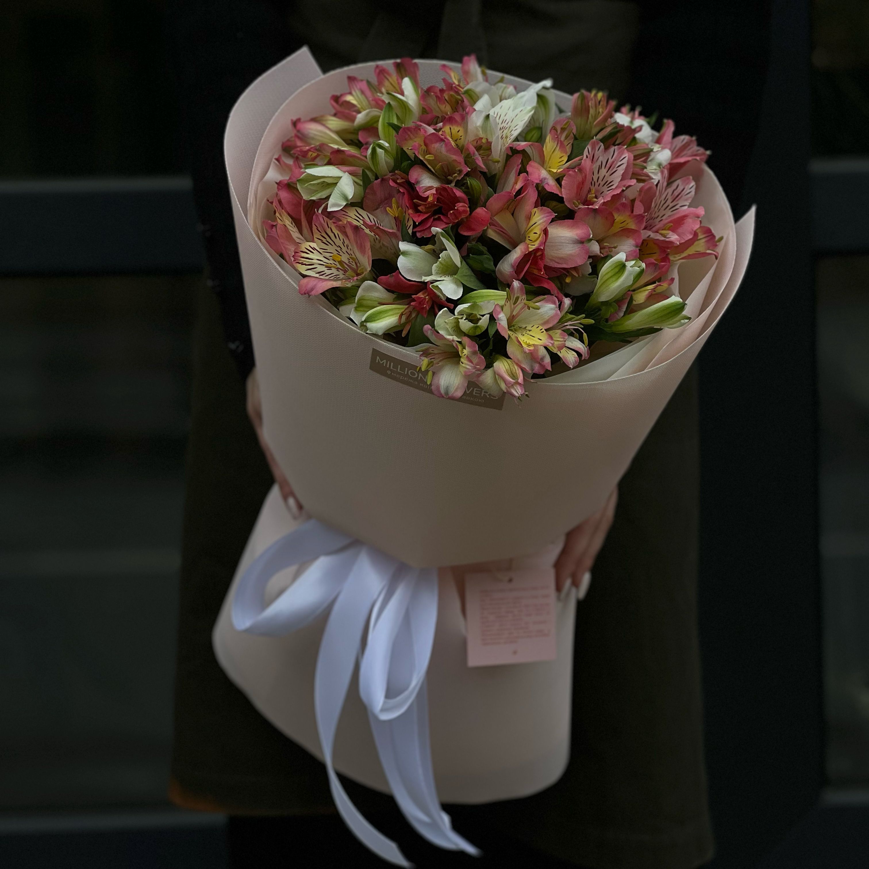 АЛЬСТРОМЕРІЯ