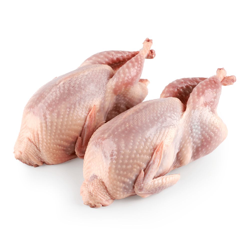 М'ясо птиці