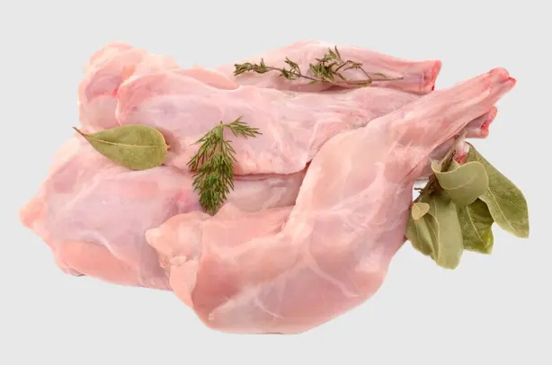 Conejo Y Pavo
