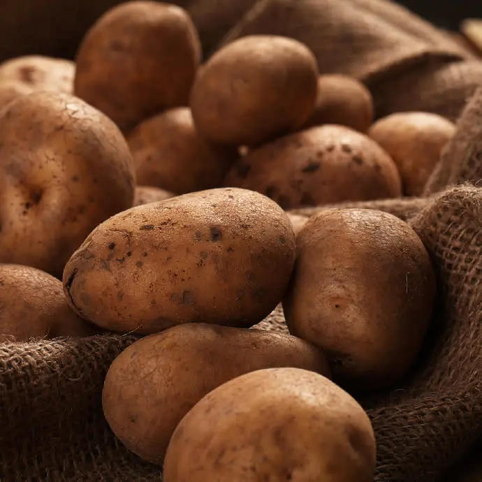 Patatas