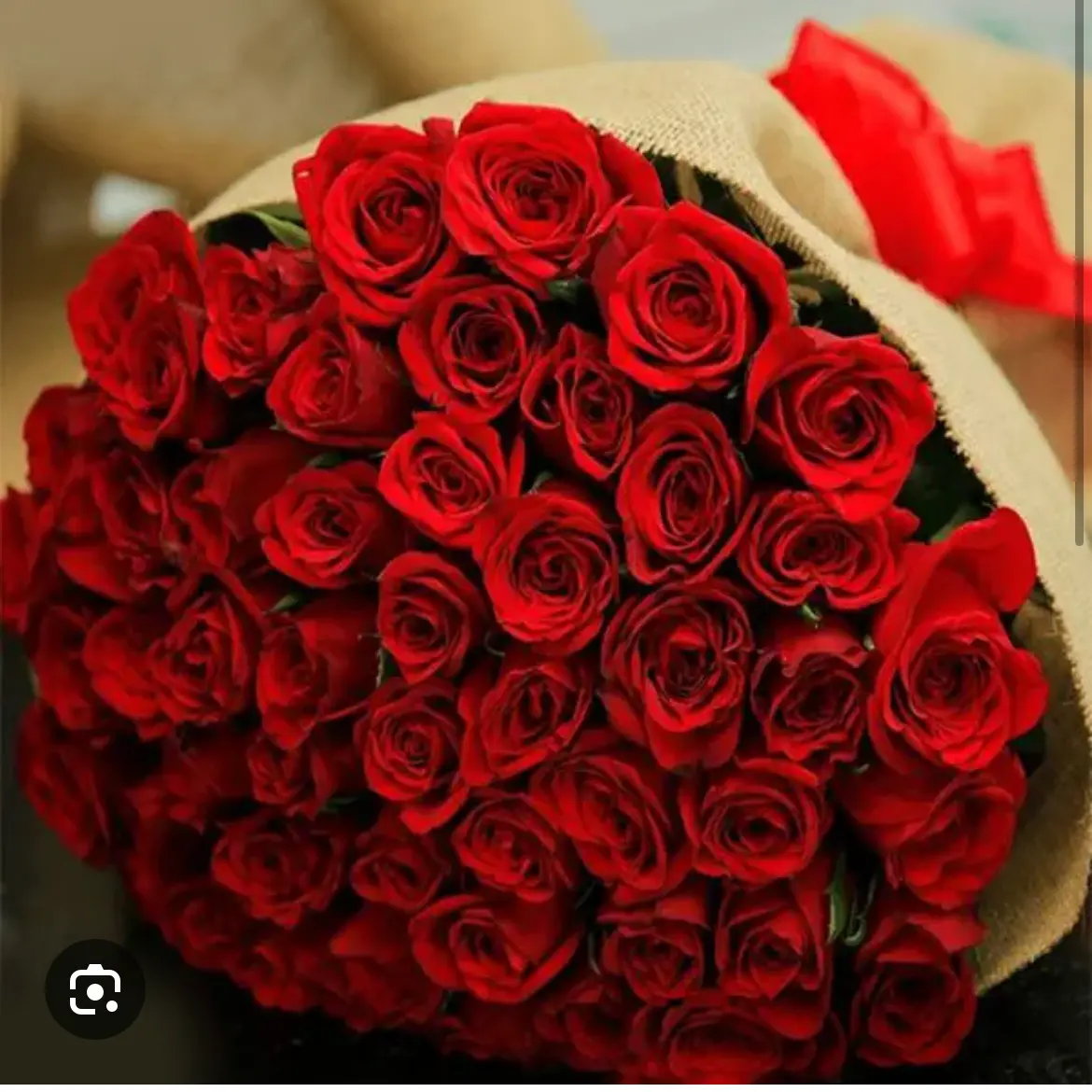 Amore