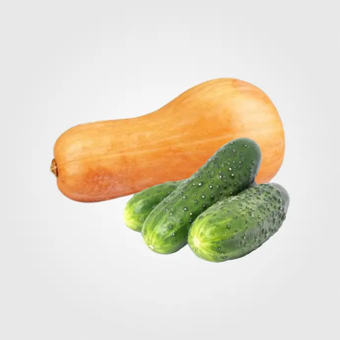 Cucurbitáceas
