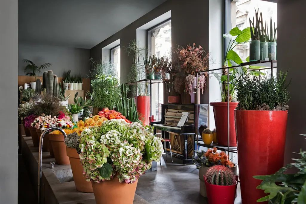 Fioreria per la casa ( fiori per i vasi della casa , senza confezionamento)