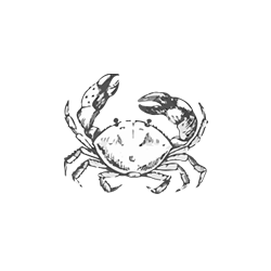 Mariscos - Pescados Luis Fontenla