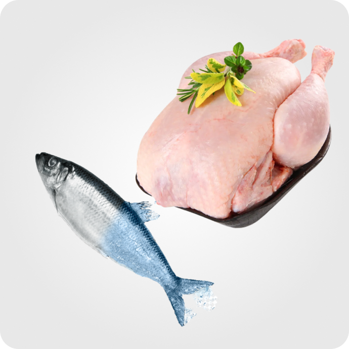 გაყინული ხორცი და თევზი