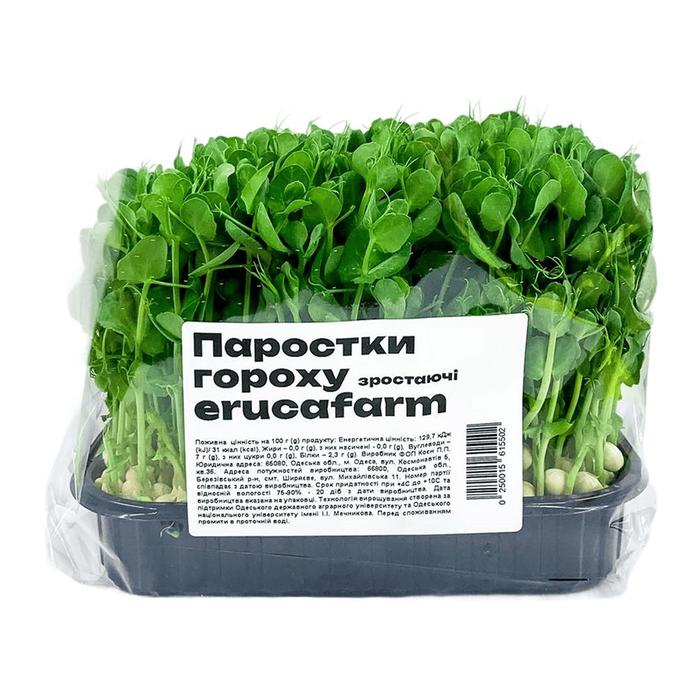 Зелень і салати