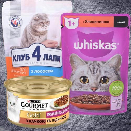 Корм для котів