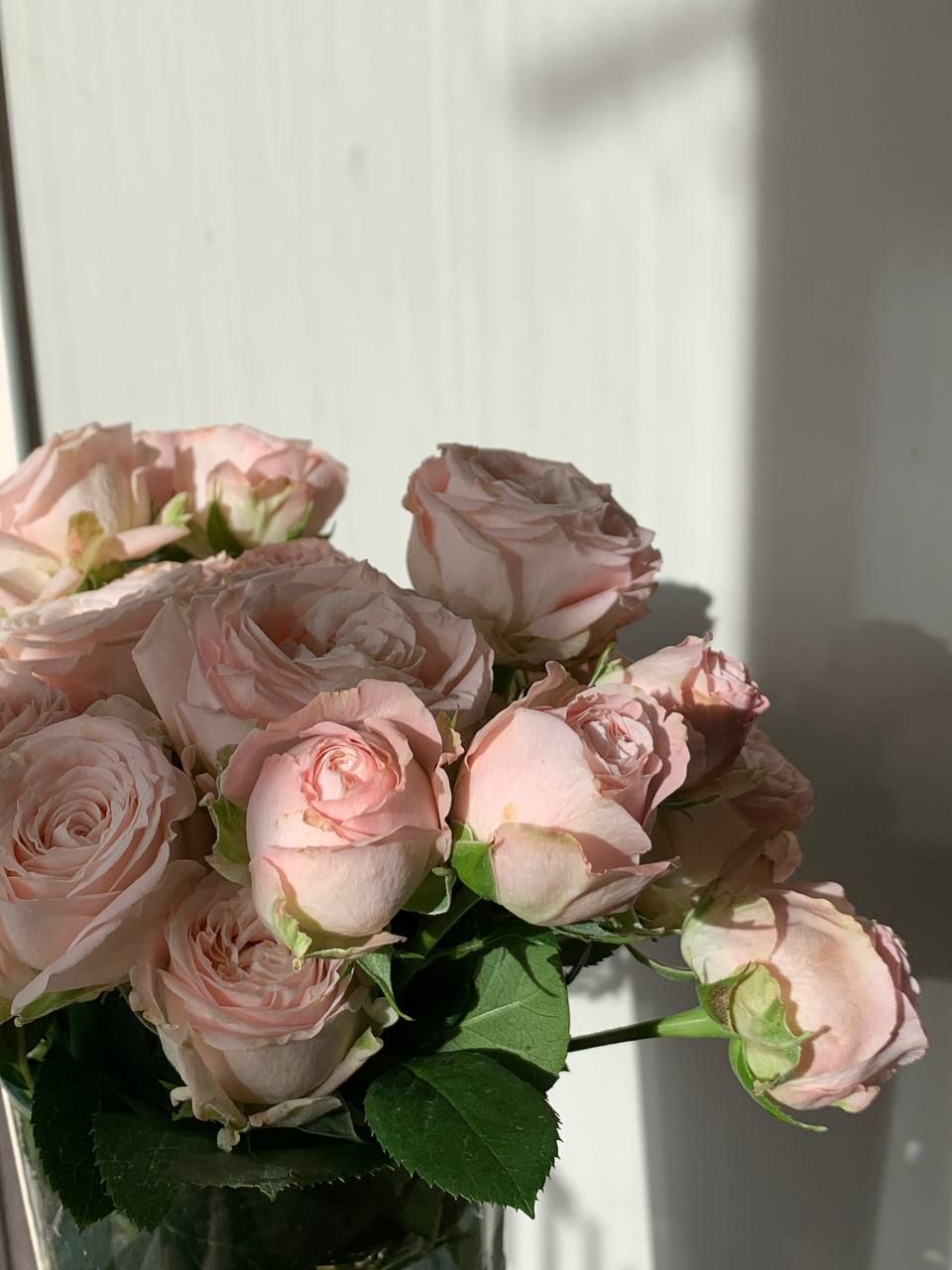 Весняна колекція