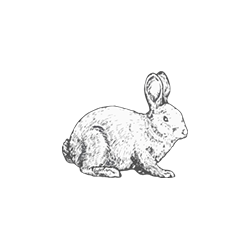 Conejo - Pollería Mary 