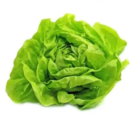 Salate și verdețuri