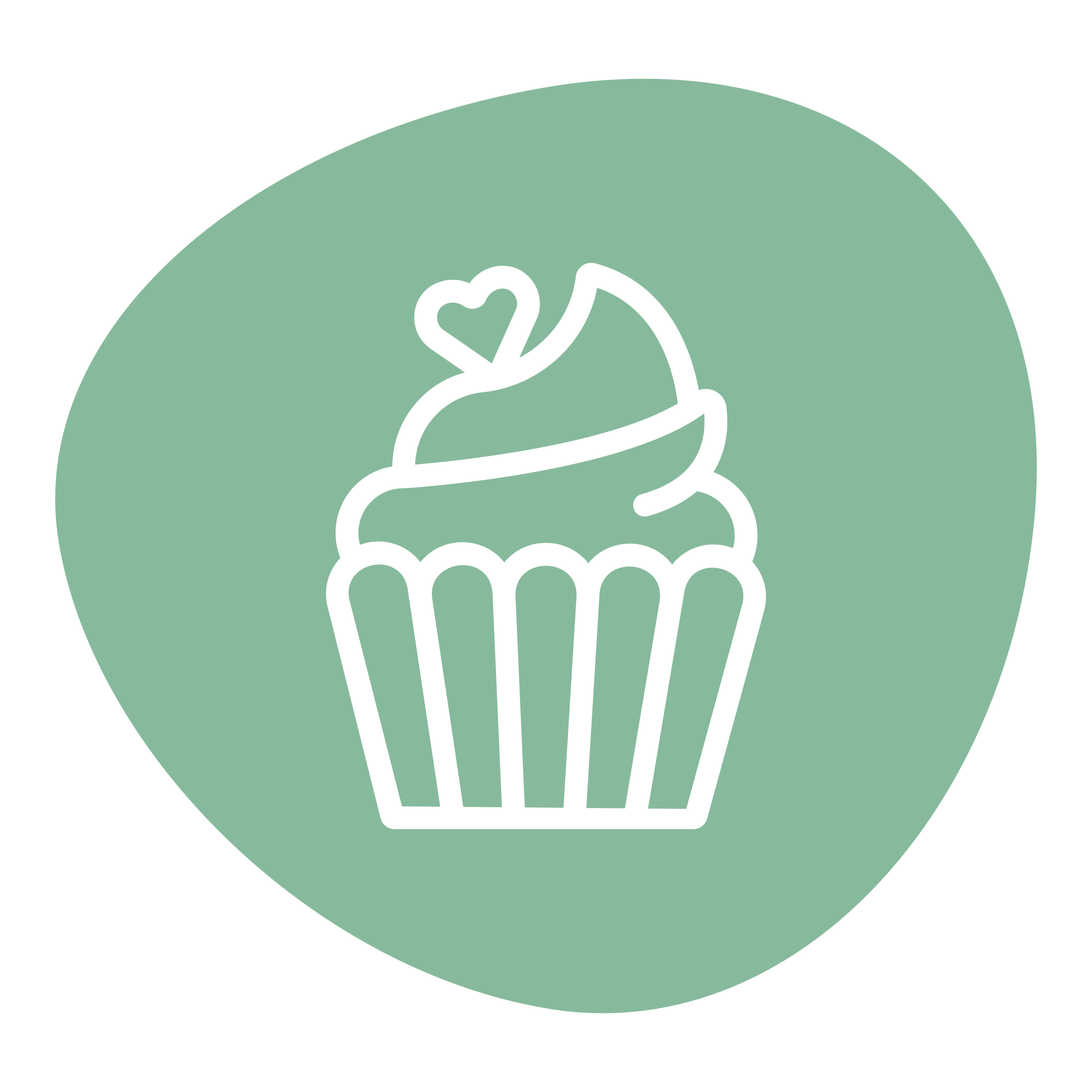 ნამცხვრები