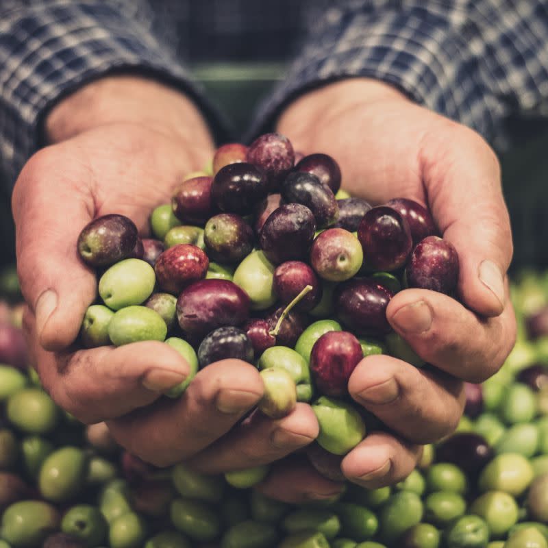 Aceitunas y conservas