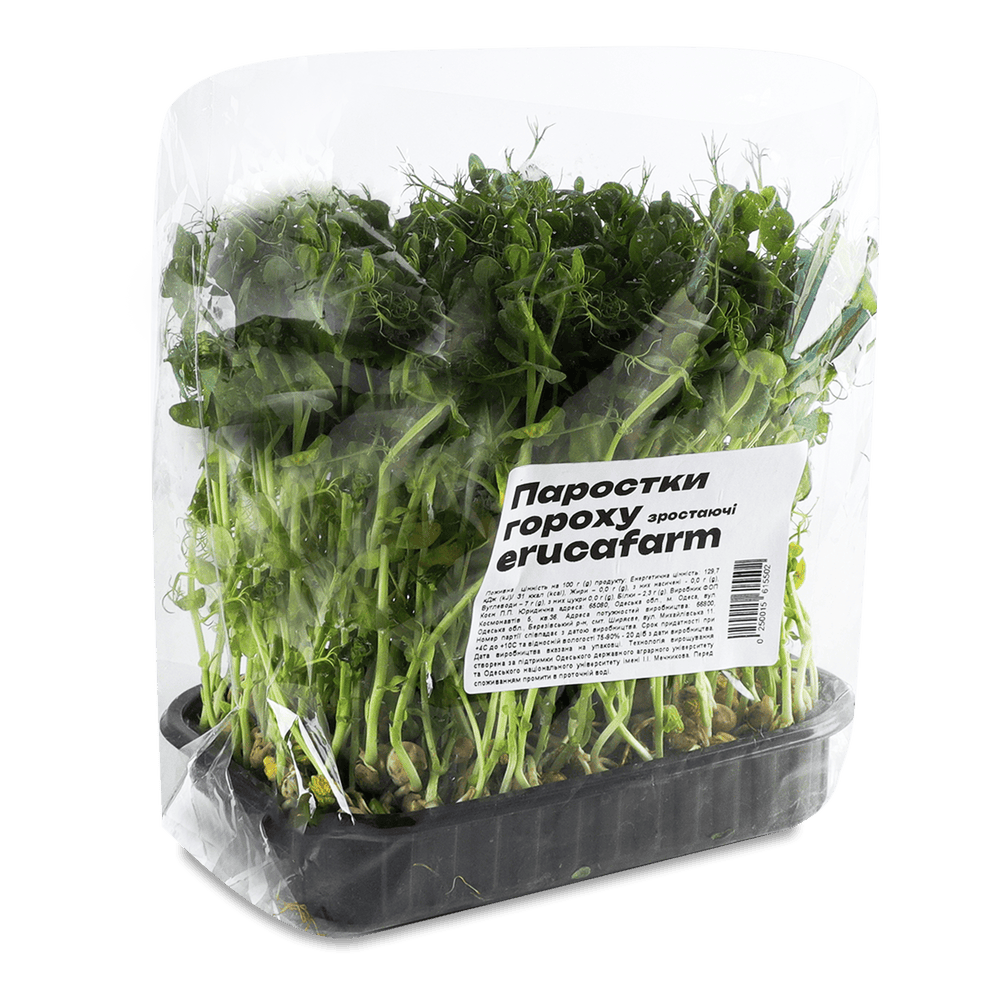 Зелень і салати