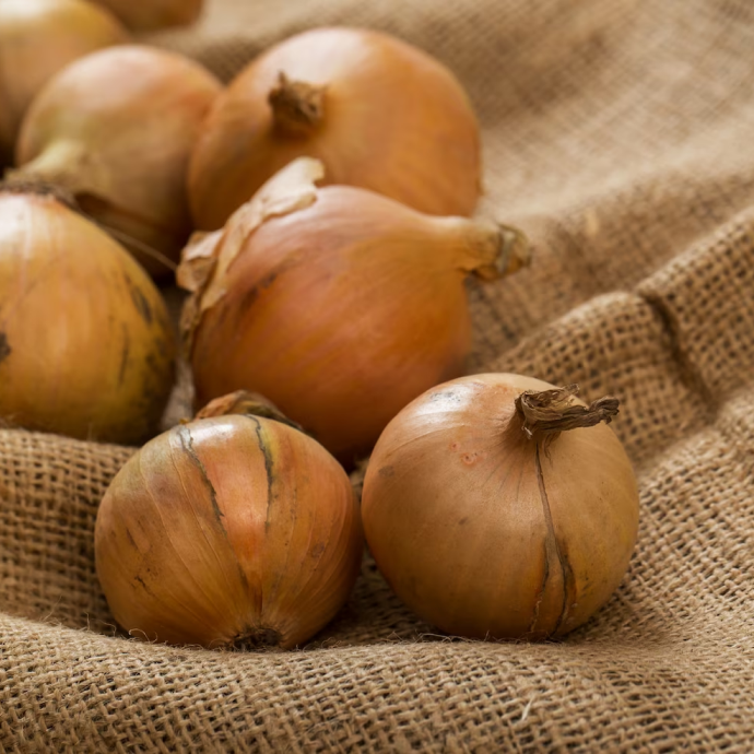 Cebollas, Puerros Y Espárragos