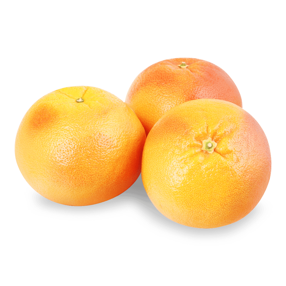 Свіжий сезон