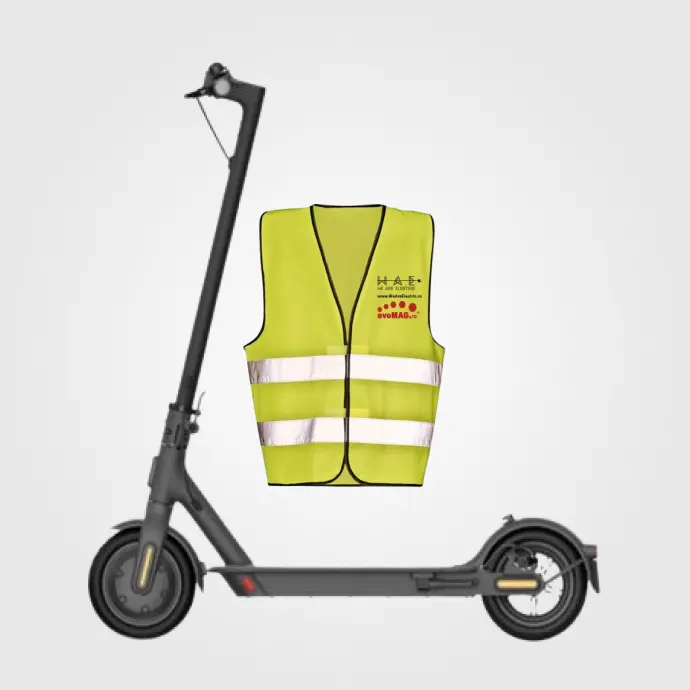 Vehicule electrice