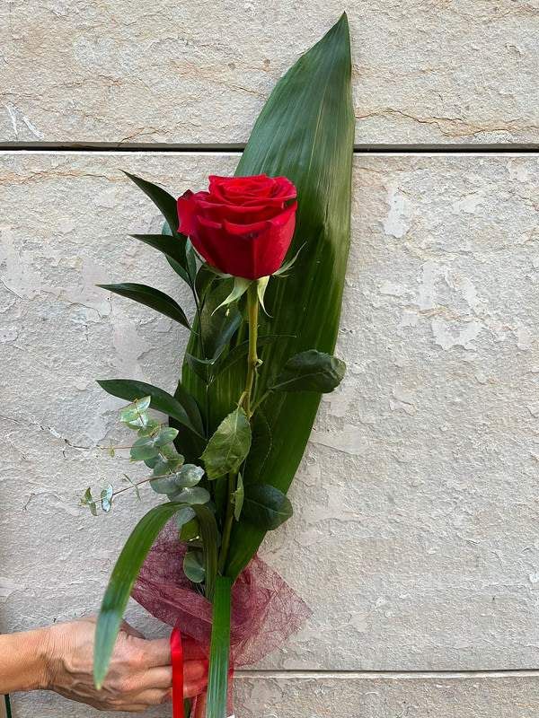 Sant Jordi