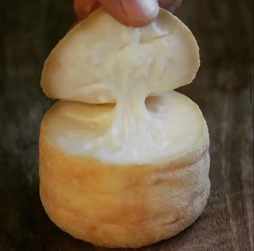 Quesos