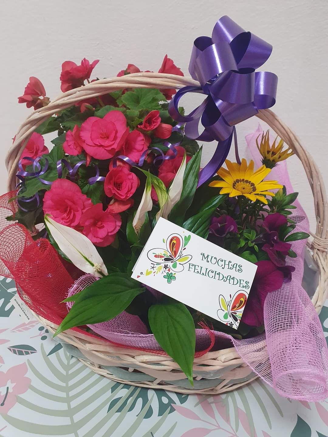 Composición de Plantas 