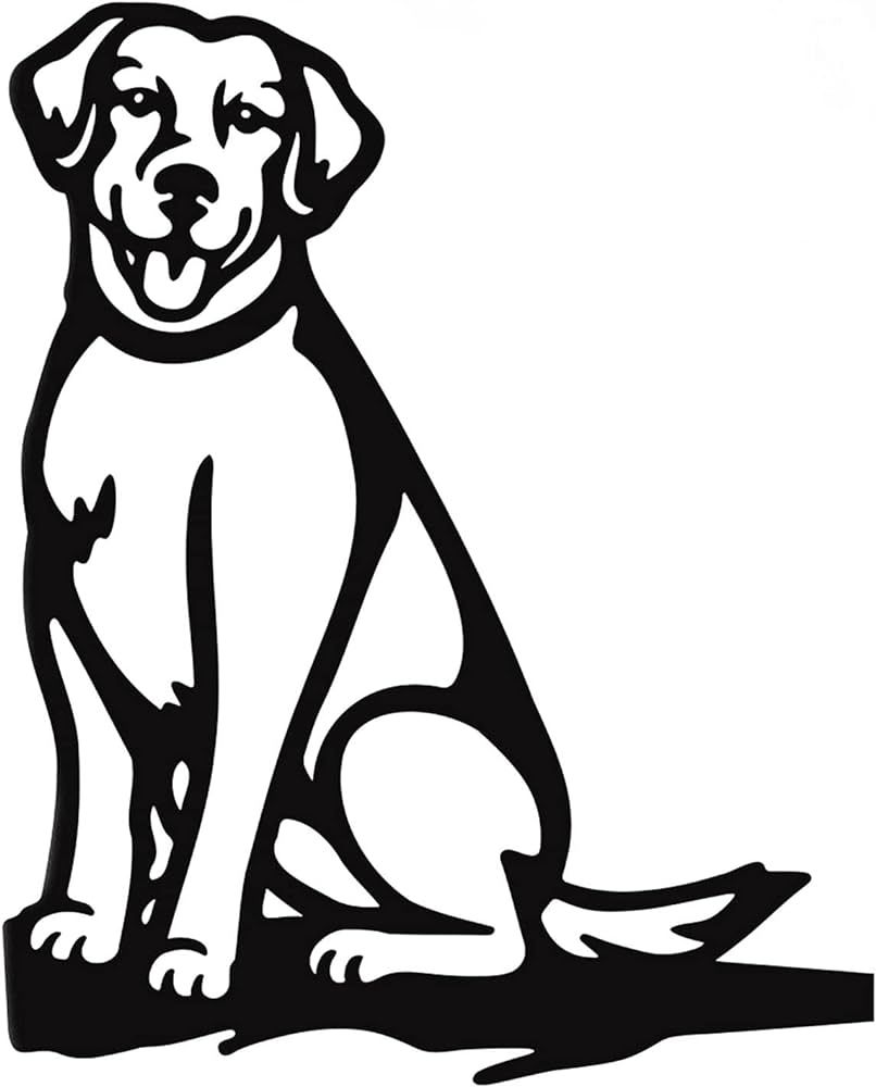 Snacks Naturales para Perros y Gatos