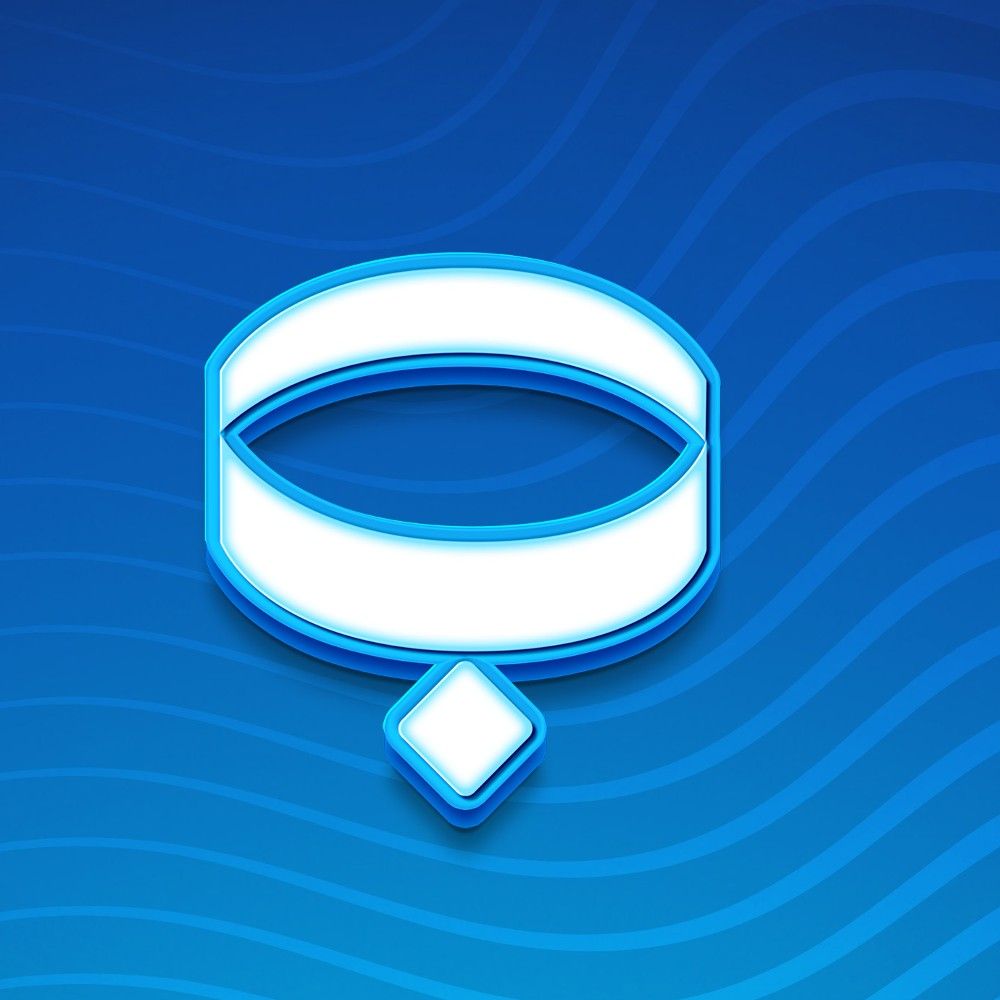 Нашийници, нагръдници и поводи