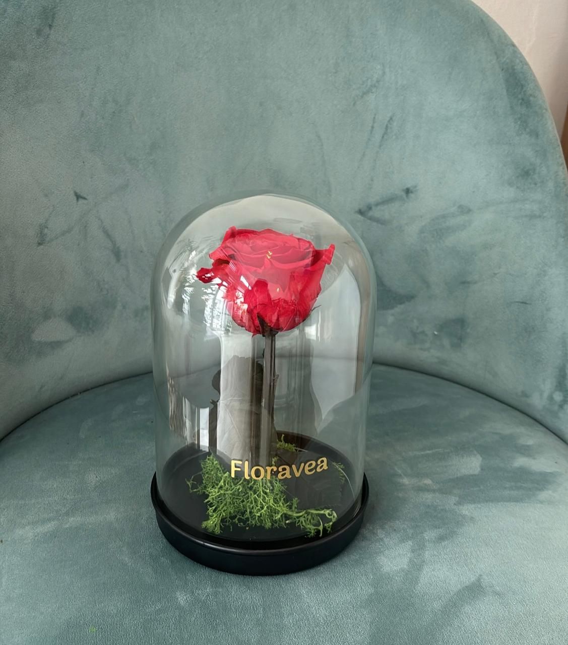 ROSE ETRENELLE