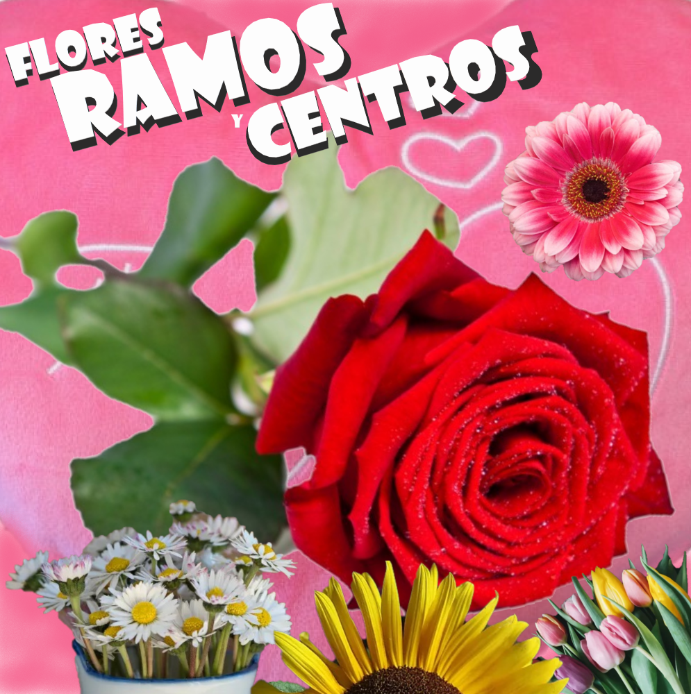 FLORES 