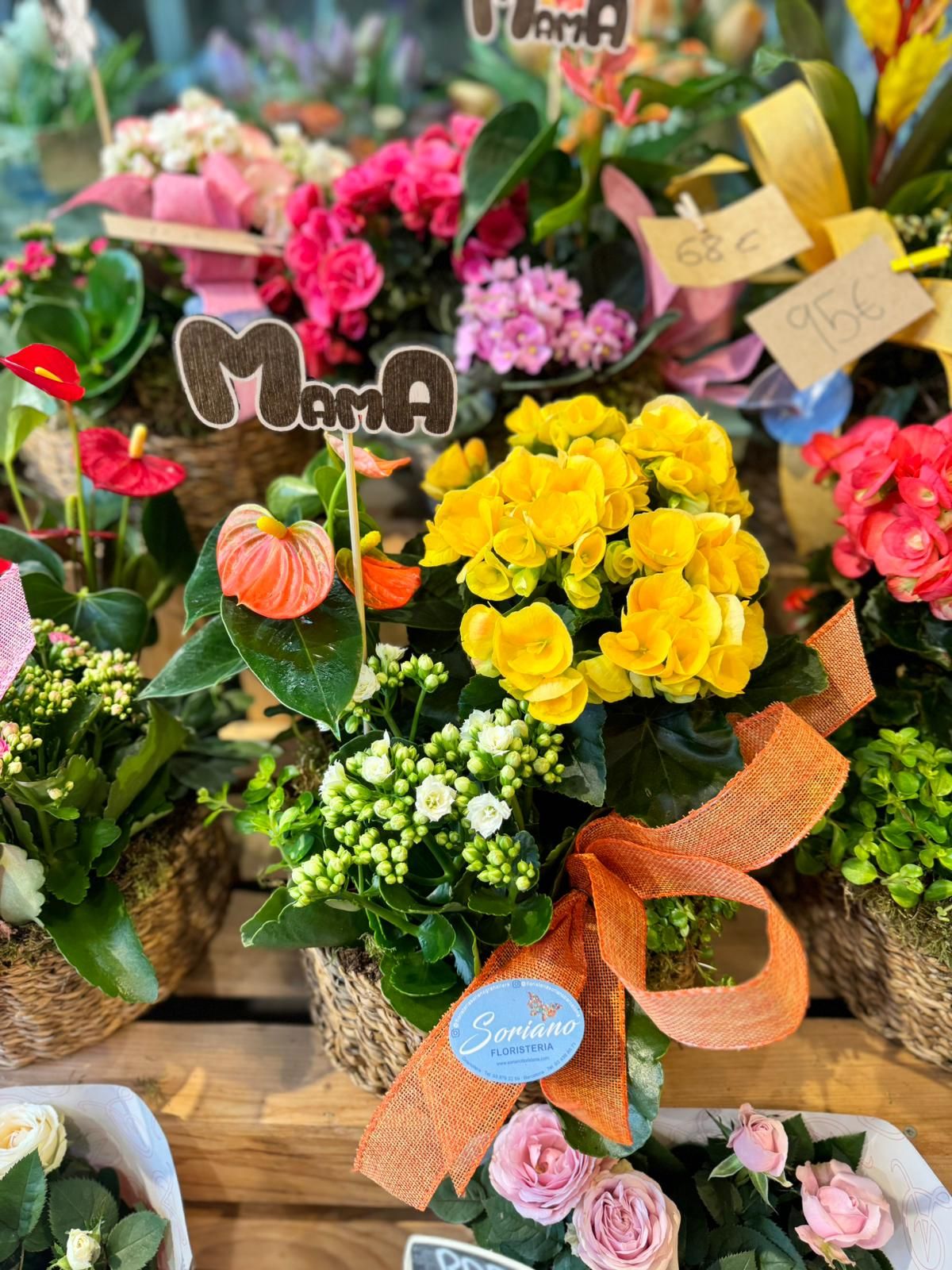 Especial Día de la Madre