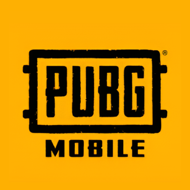 PUBG NEW STATE