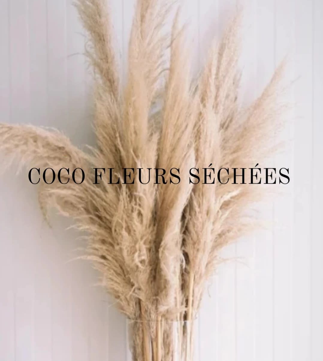 PAMPAS ET FLEURS SÉCHÉES 
