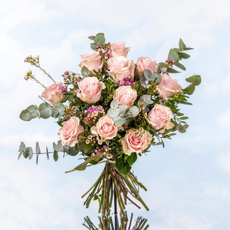 Rosas Rosas