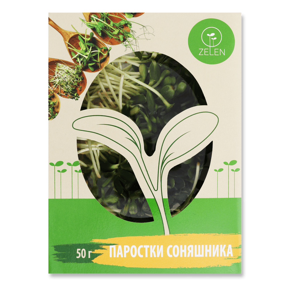 Зелень і салати