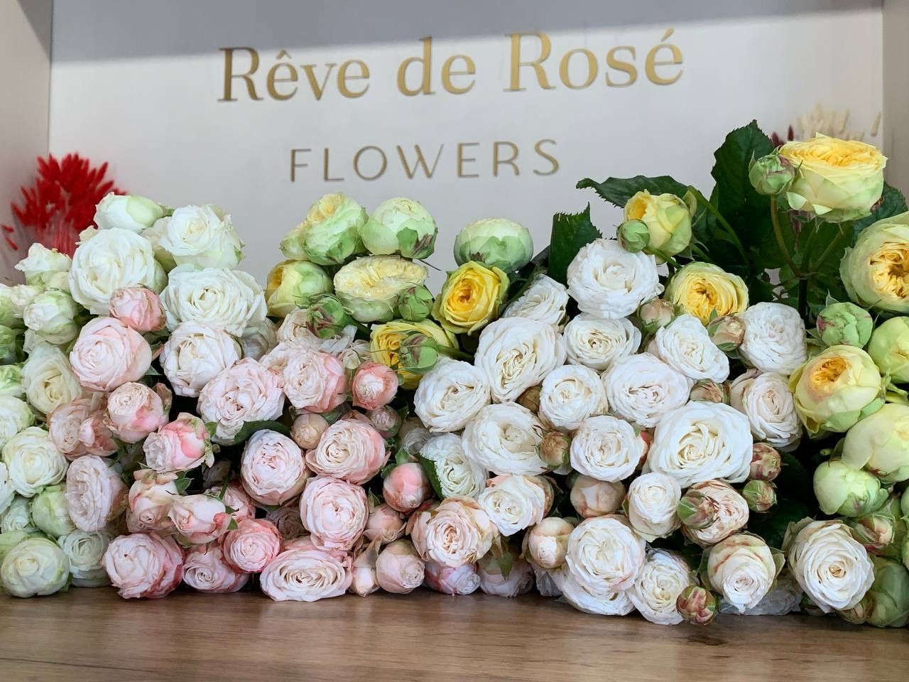 Кущові троянди 