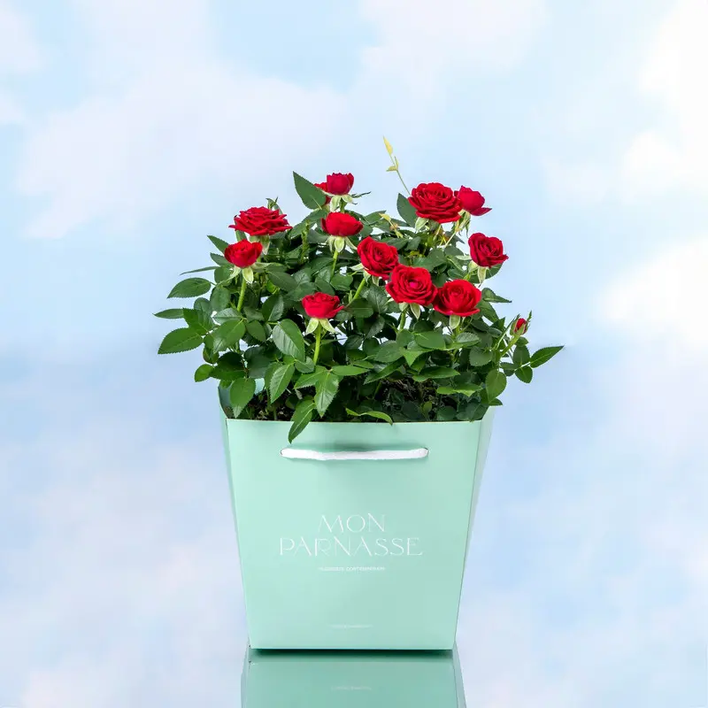 Rosal