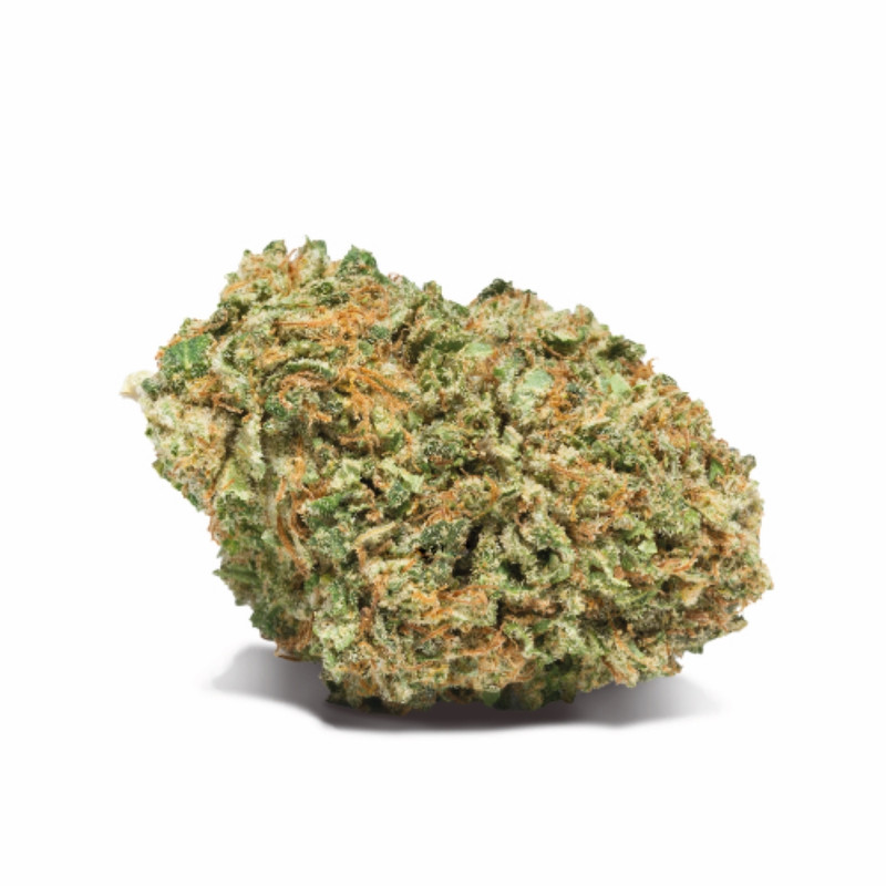 CBD Artist