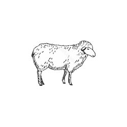 Cordero - Carnicas Milucho e Hijos SL