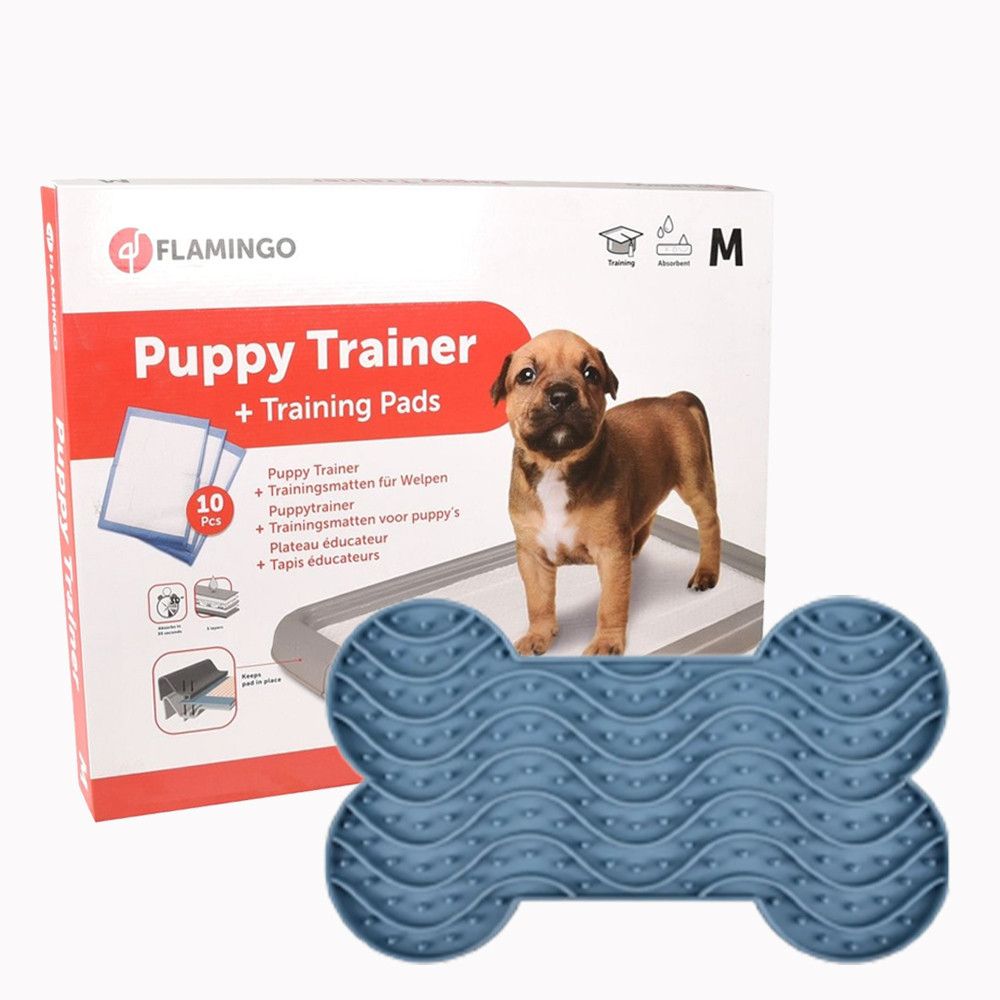 Comportament şi educaţie.