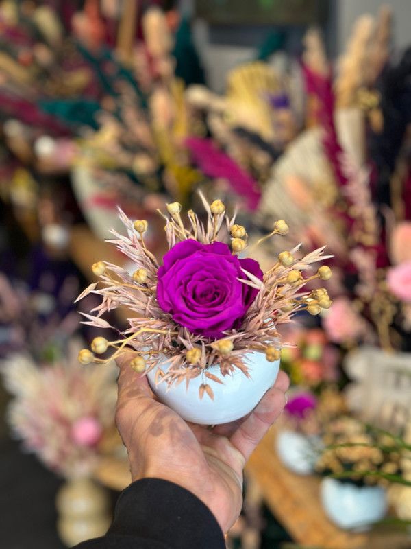 Roses éternelles et cloches