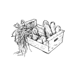 Packs, preparados y conservas - Frutas Maruja