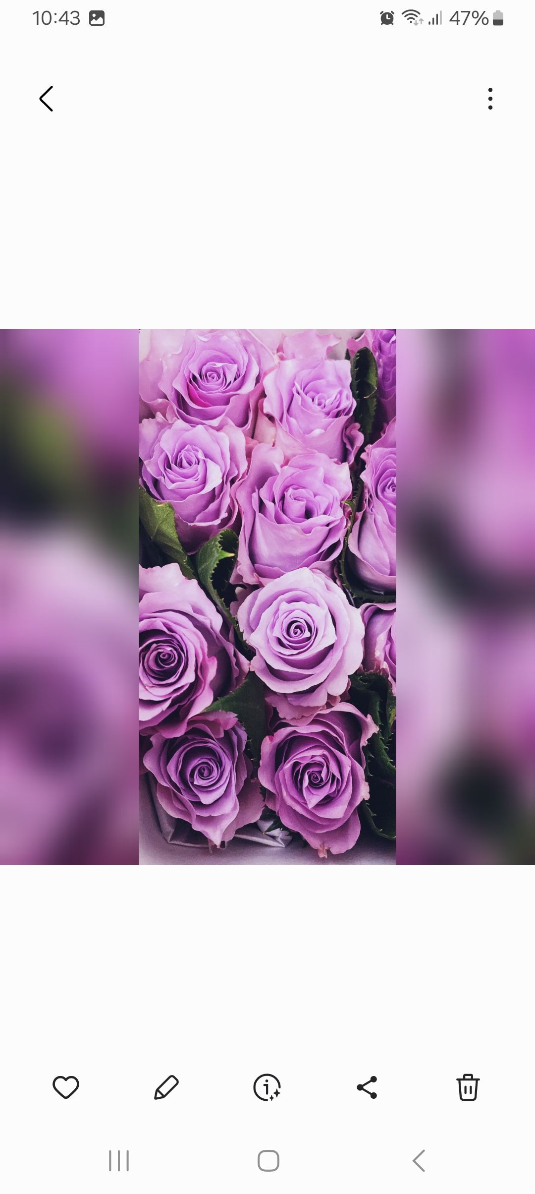 Especial Día de La Mujer ( 8 de Marzo )