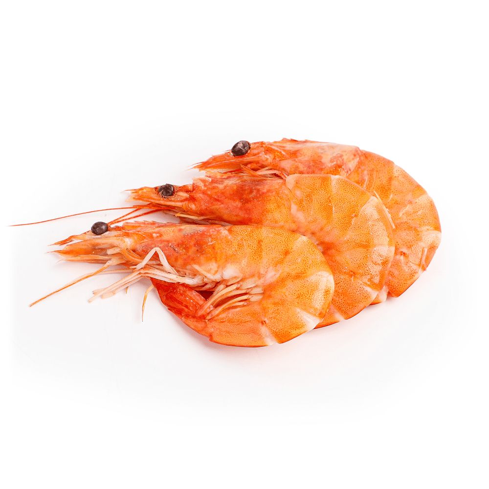 Морепродукти та молюски