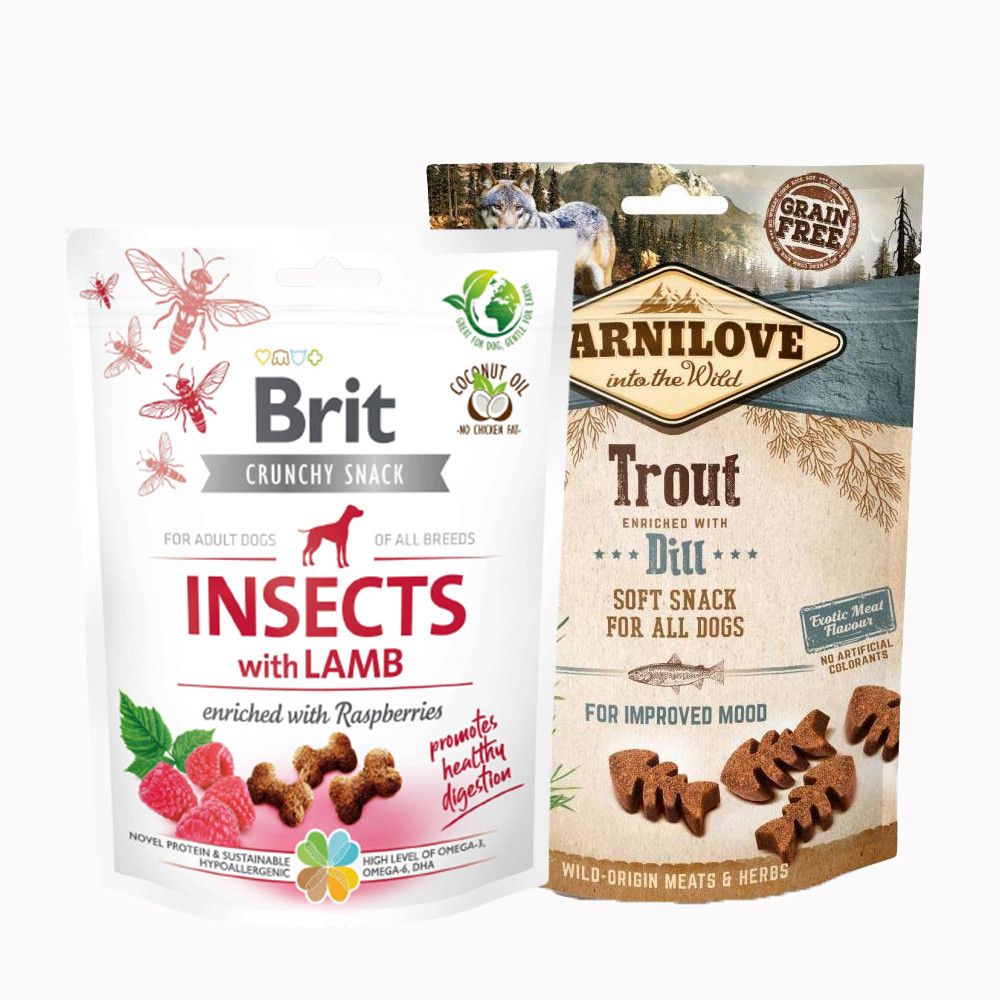 Poslastice, keksi i žvakalice