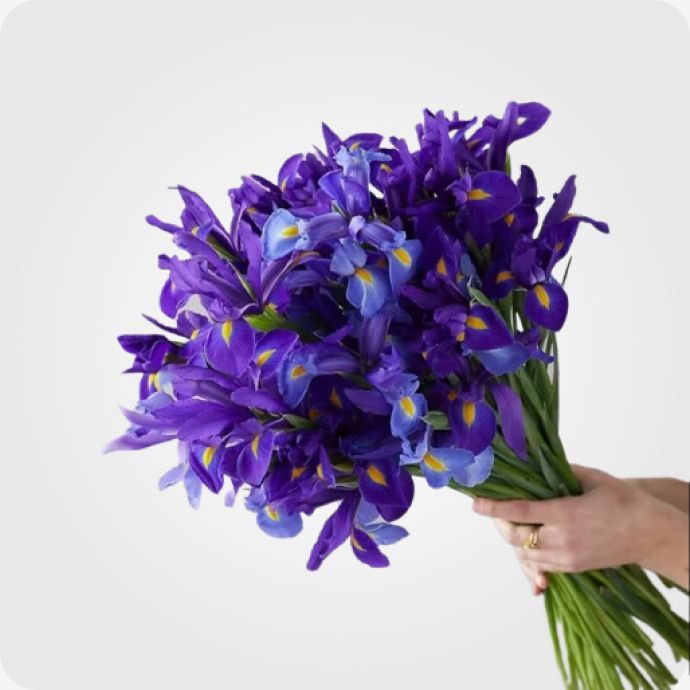 ყვავილები