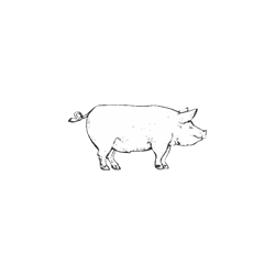Cerdo - Carne de Equino y el Corte de Sebas