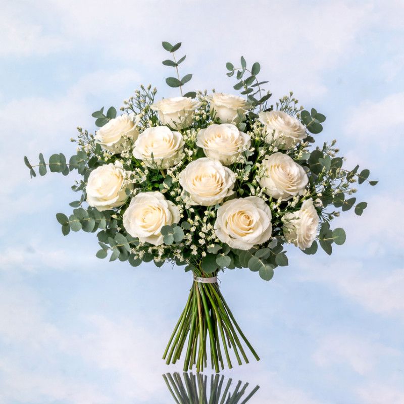 Rosas Blancas