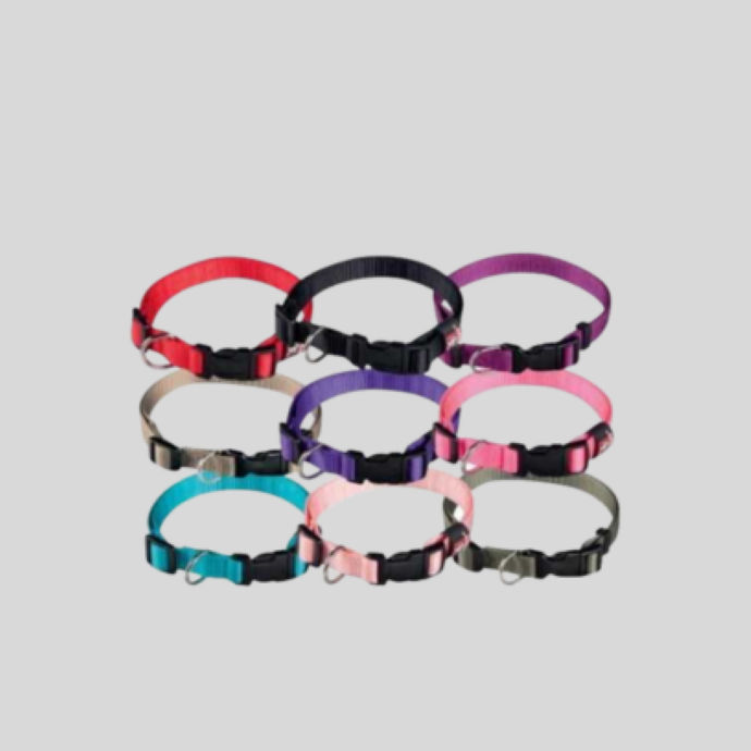 Accesorios Para Perros