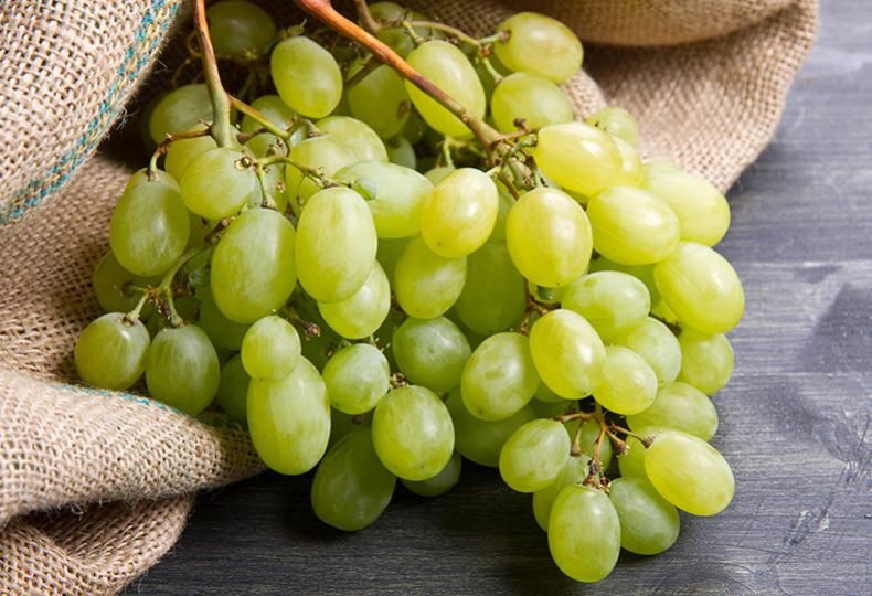 FRUTAS DE TEMPORADAS